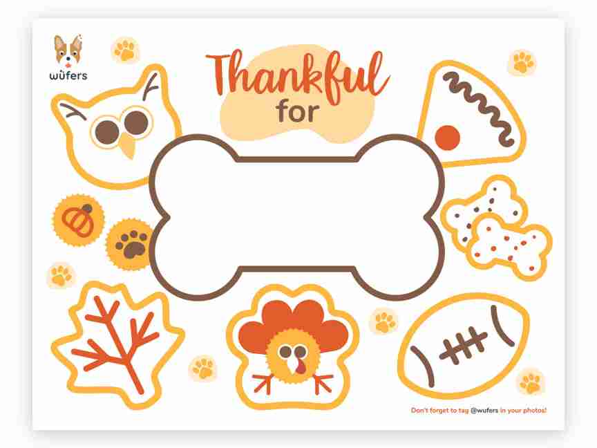 Unboxing: Thanksgiving Cookie Box 2020 | Thanksgiving Themed Dog Cookies