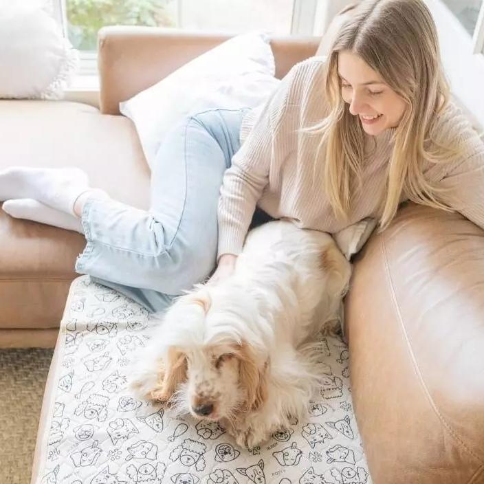 Dog with owner