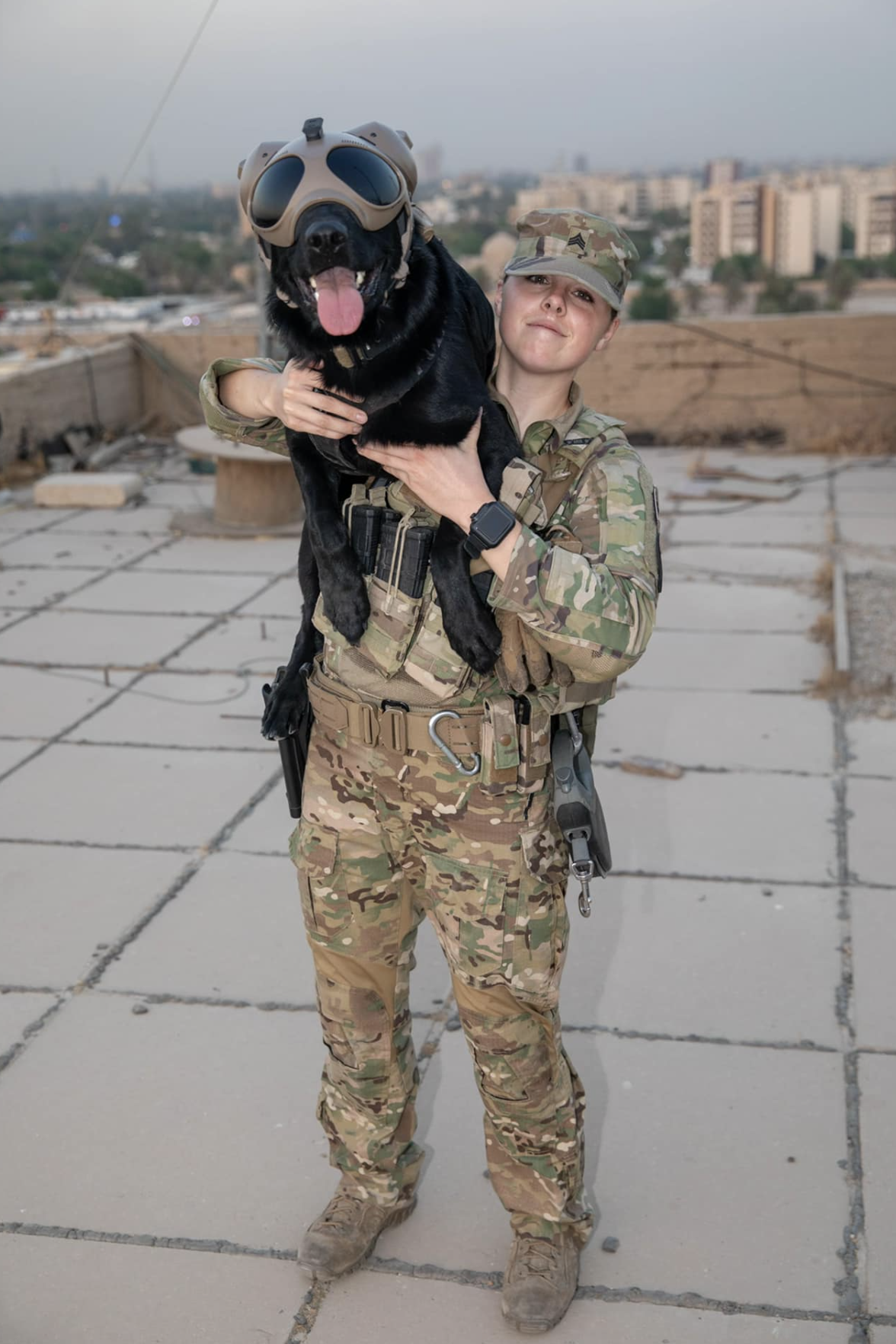 mwd bailey