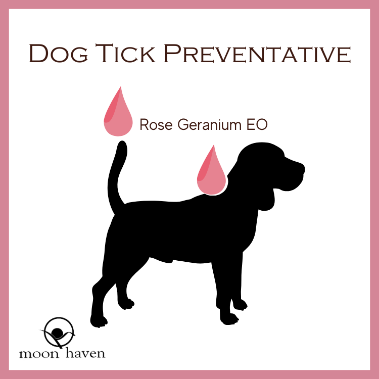 MH MIY Dog Tick Preventative