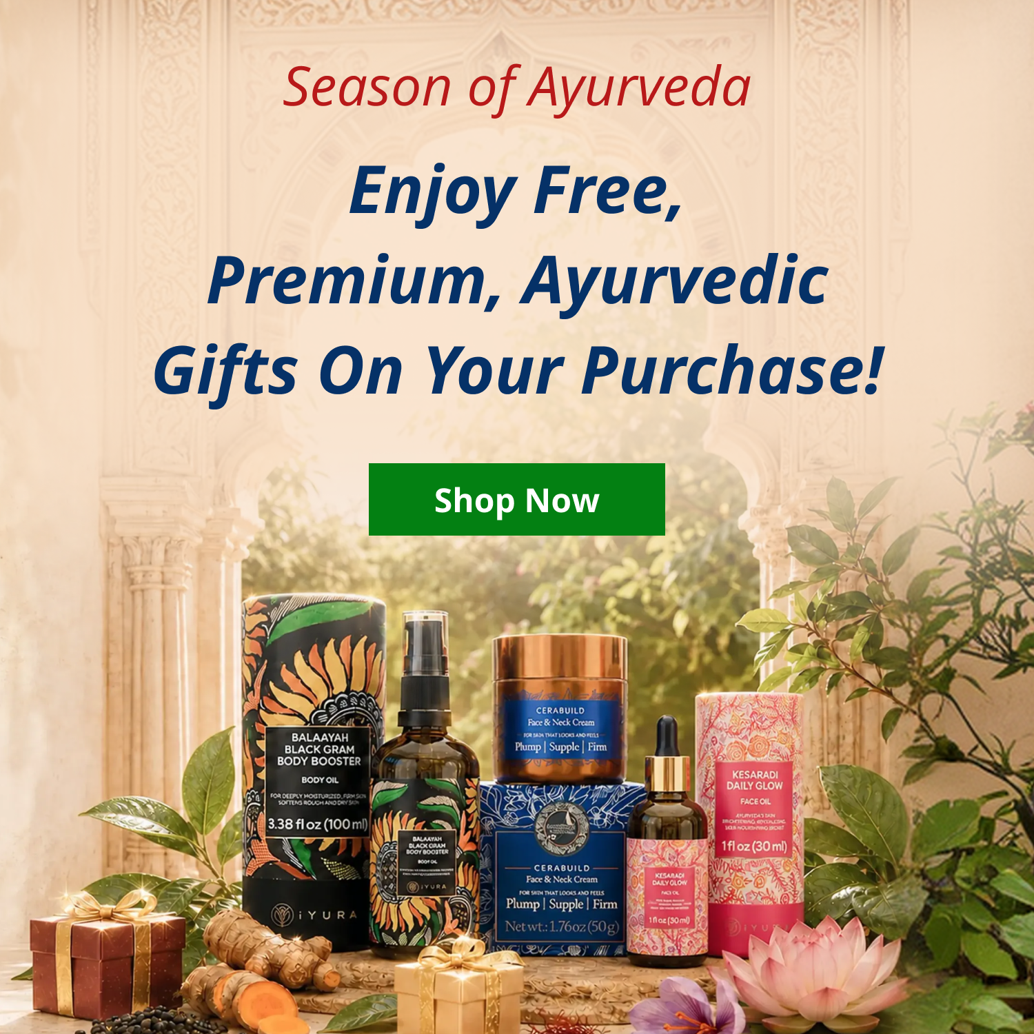 Season of ayurveda
