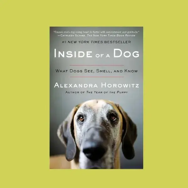 Books for Dog Dads