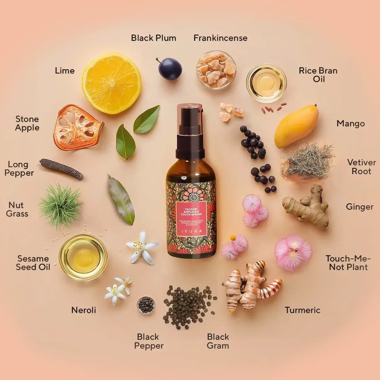 A bottle of Yauvari amplified youth spring surrounded by ingredients like black plum, lime, stone apple, long pepper, touch-me-not flower, mango, ginger in a clean minimal pattern
