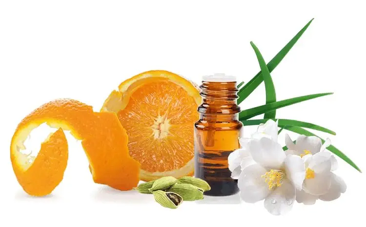 This is Vanilla and Frankincense