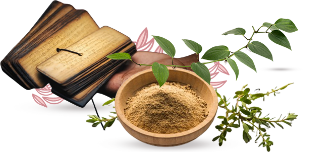In ancient India, people believed that nature had the solution to almost any problem.