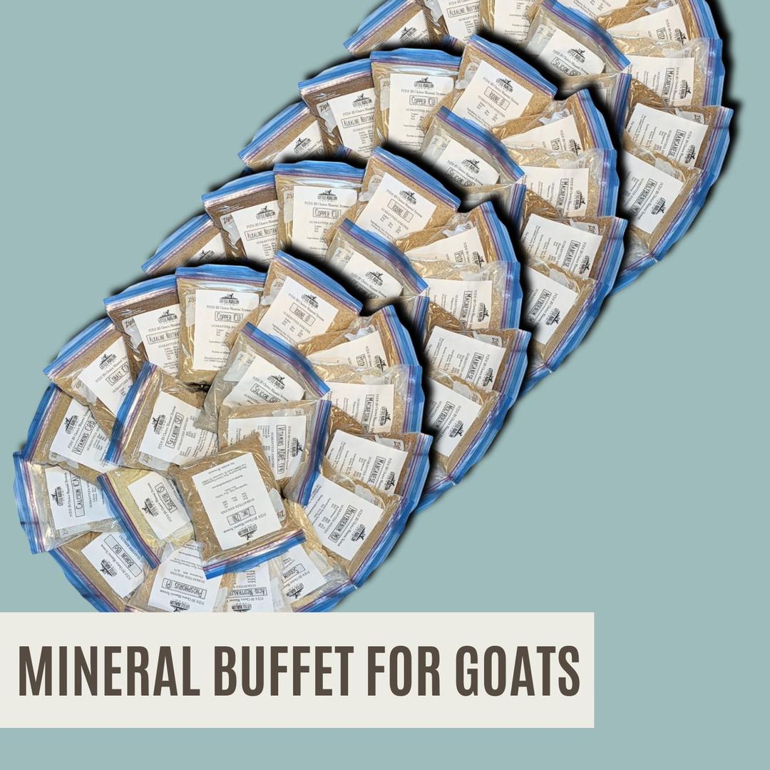 The COMPLETE Mineral Buffet Starter Kit 20 Minerals (non-GMO) + Salt FACEBOOK SPECIAL OFFER