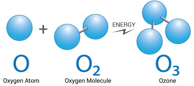 Oxygen Molecule