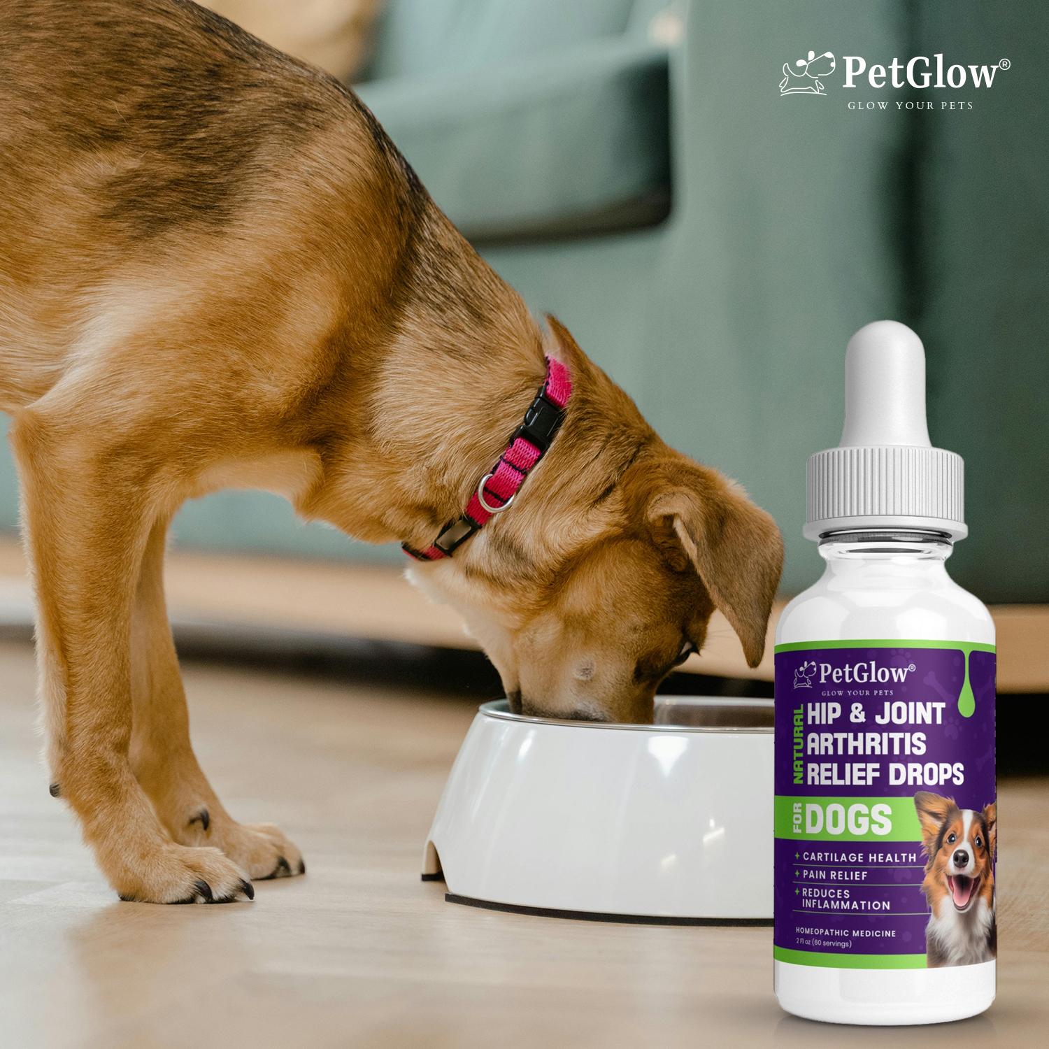 Dog Anal gland relief