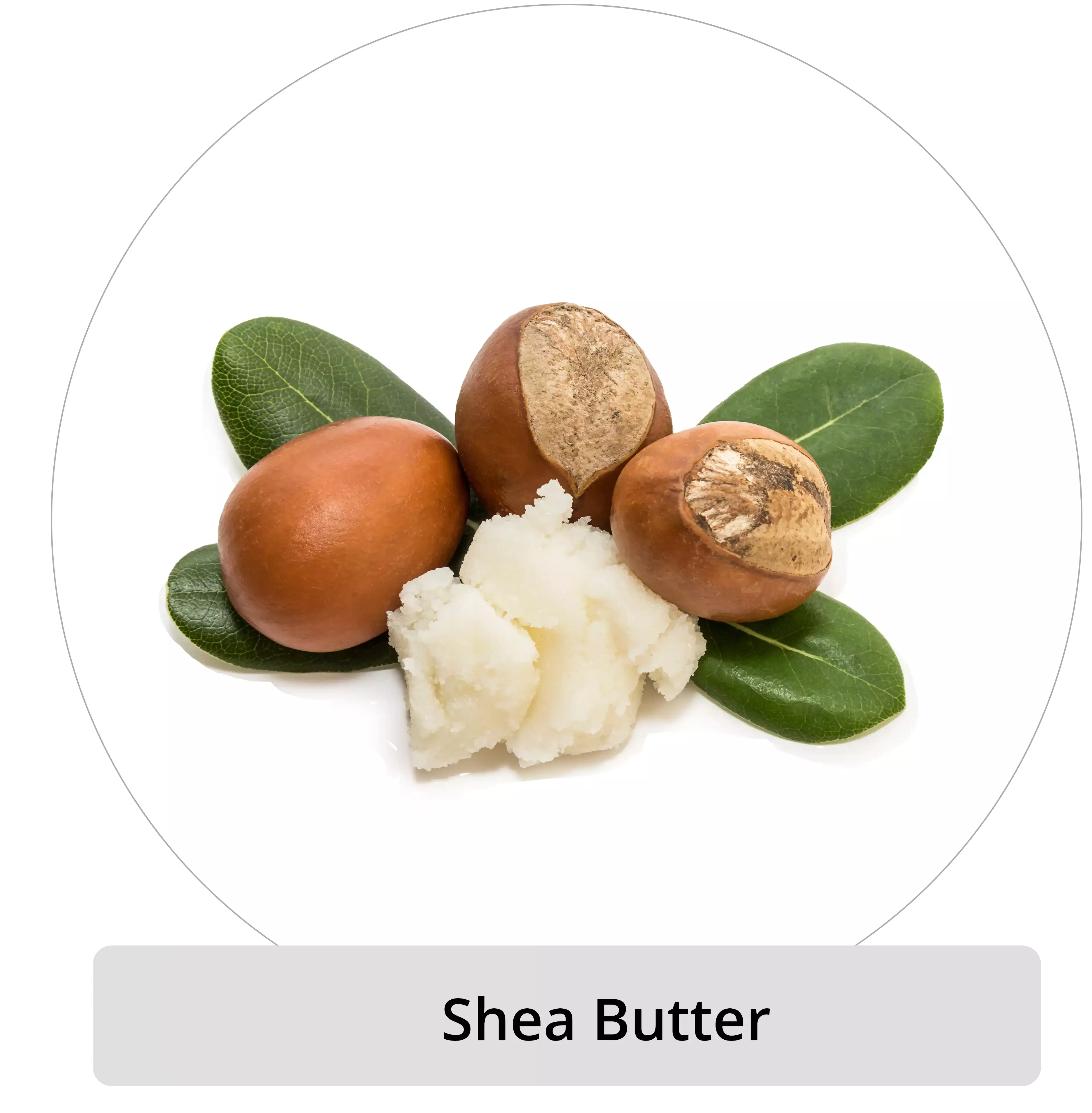 Shea butter image