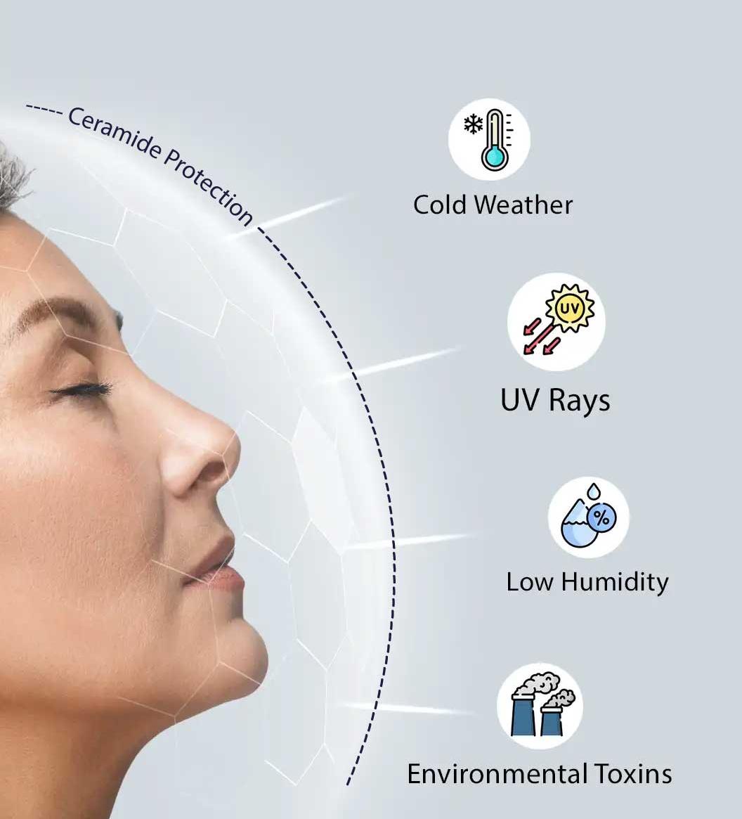 Infographic of a woman being shielded by cold weather, UV rays, Low humidity and environmental toxins, by ceramides