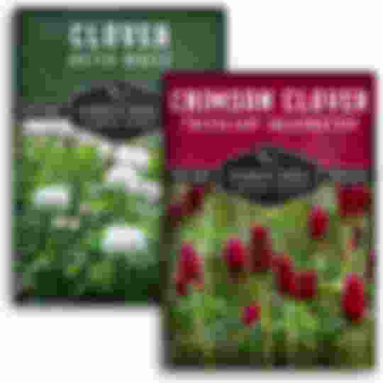 2 packets of clover seeds