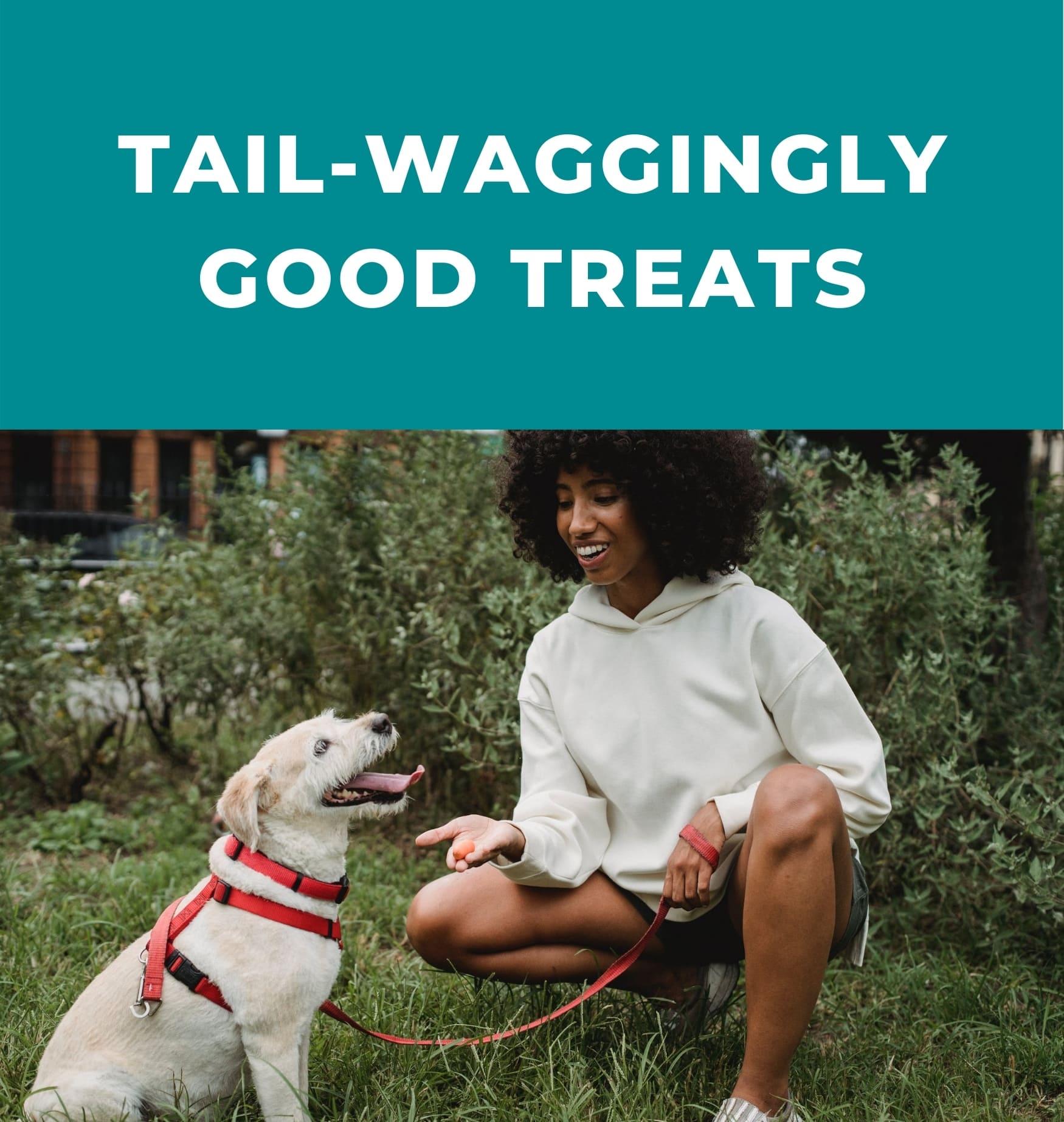 5 natural treats to spoil your pup - Potty Buddy™ 