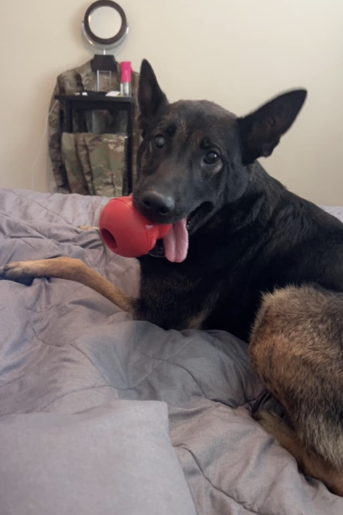 MWD Blues