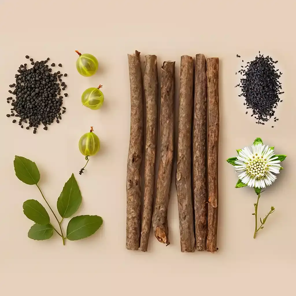 Ayurveda's ancient art