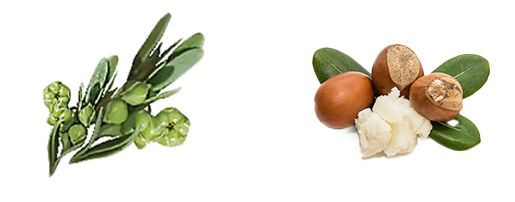 Image of Lodhra and Shea butter