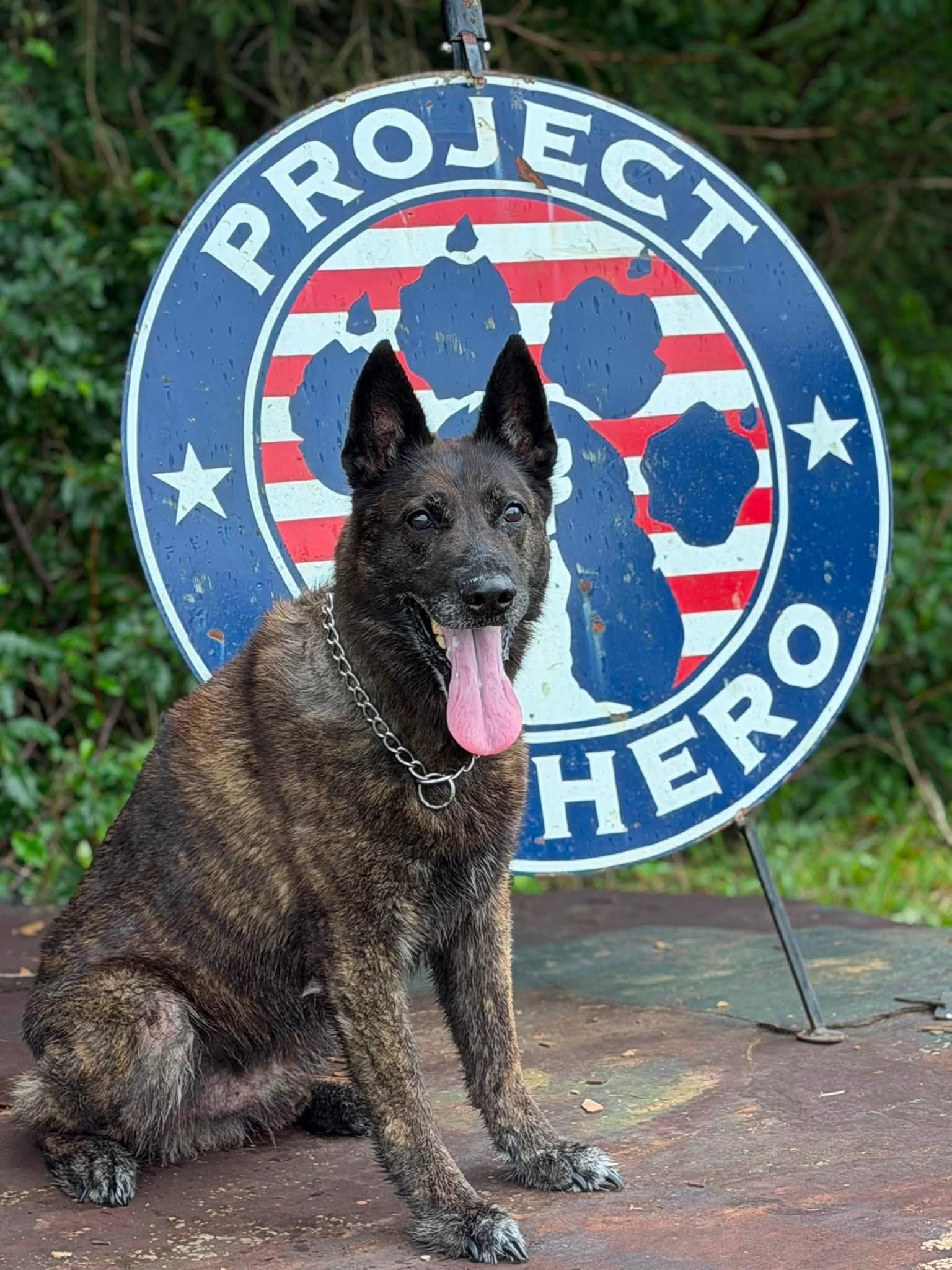 k9 pope 398 at pk9h