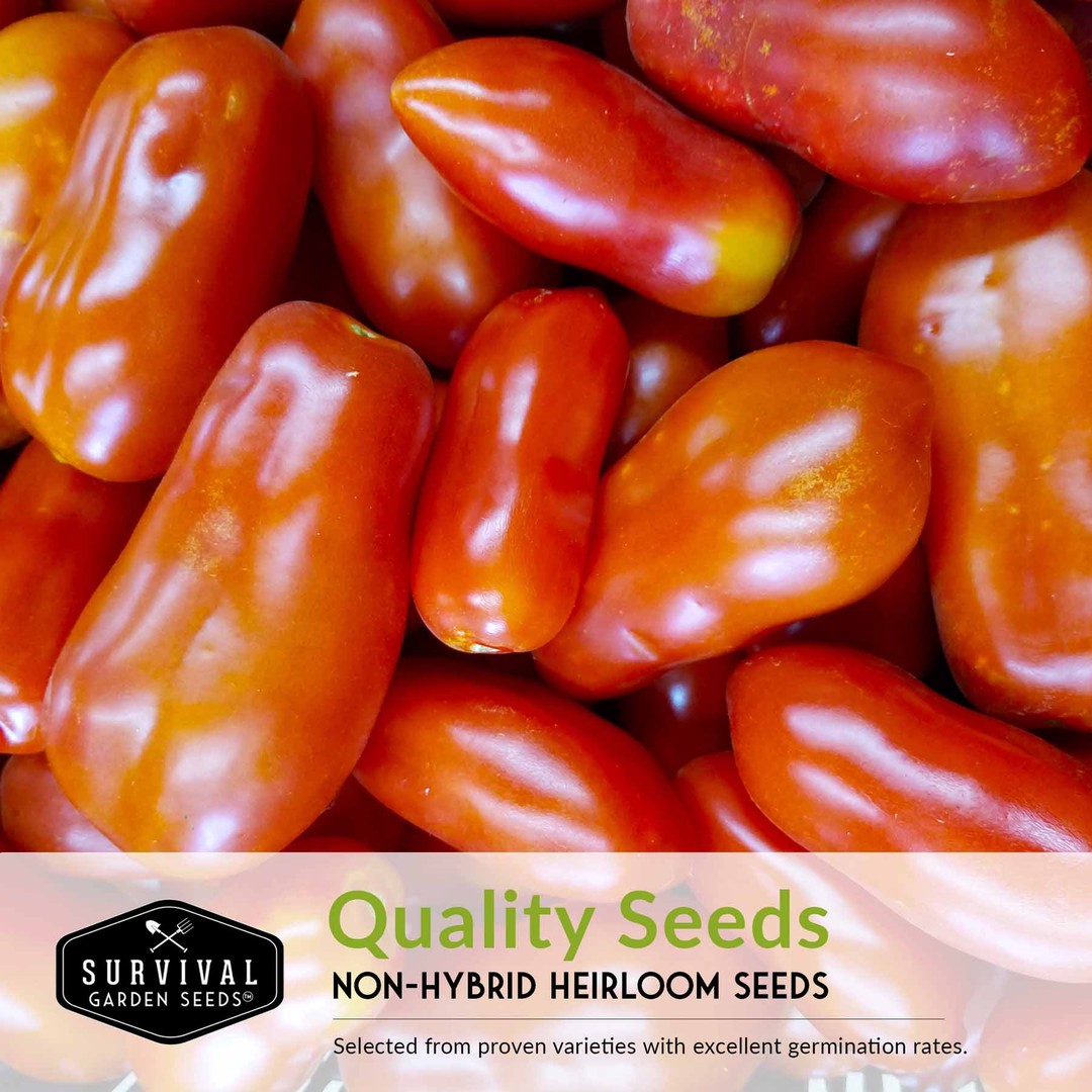 Quality non-hybrid heirloom tomato seeds with proven germination rates