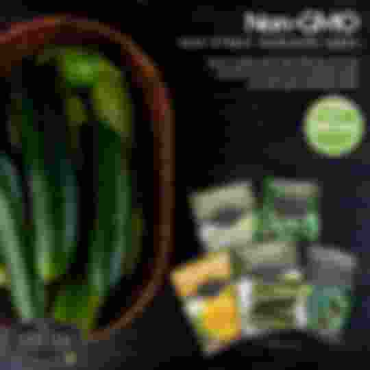 Non-GMO non-hybrid heirloom cucumber seeds