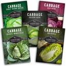 5 Packets of Heirloom Cabbage Seeds
