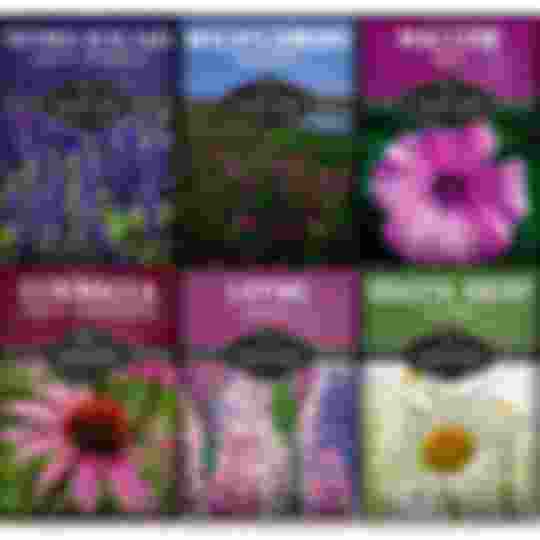 6 packets of heirloom flower seeds