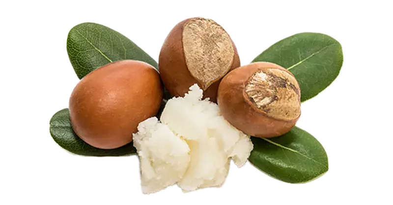 Shea Butter