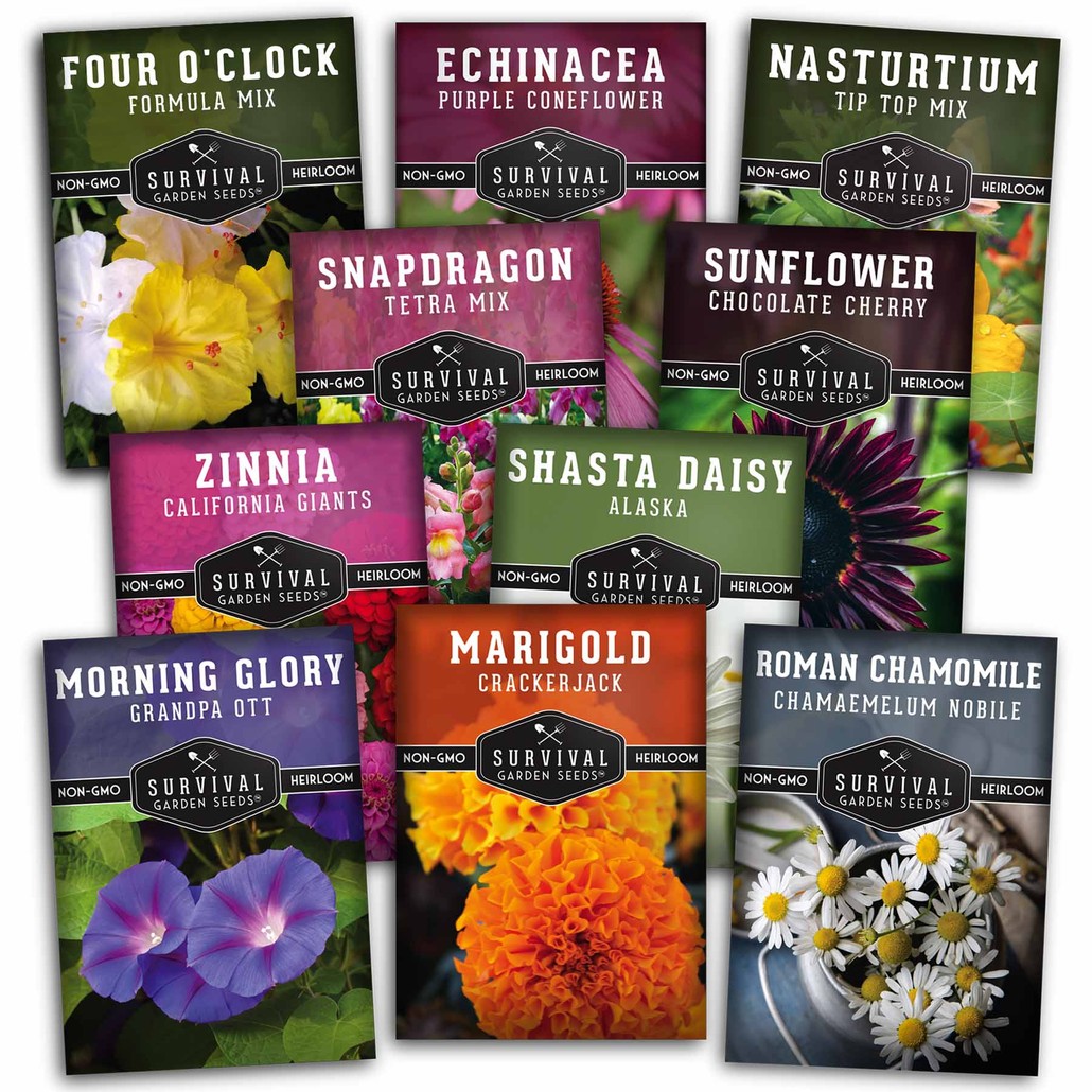 10 Flower Seed Collection