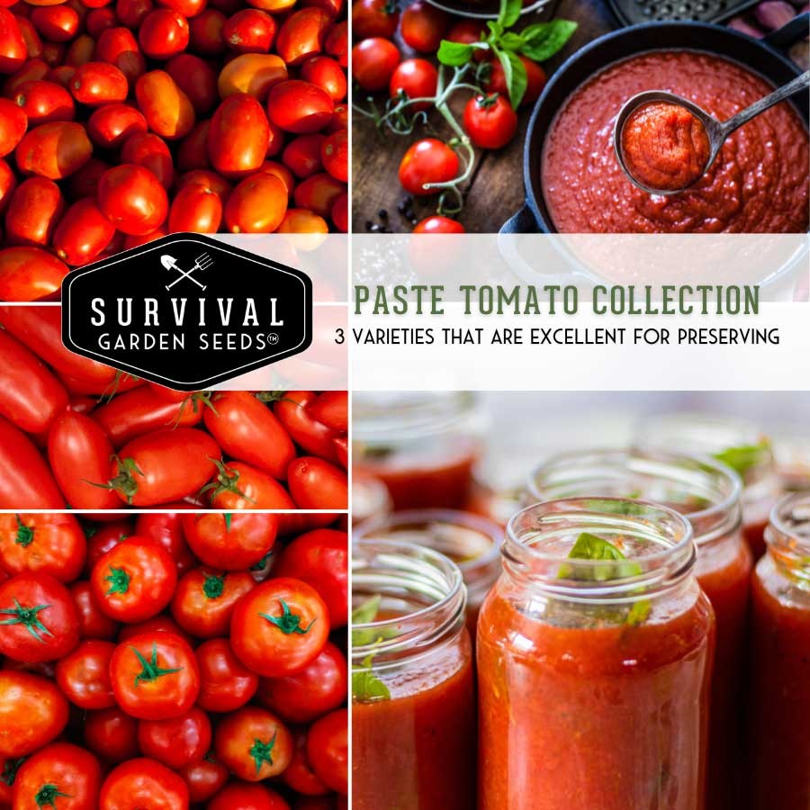 Paste Tomato Seed Collection - 3 varieties excellent for preserving