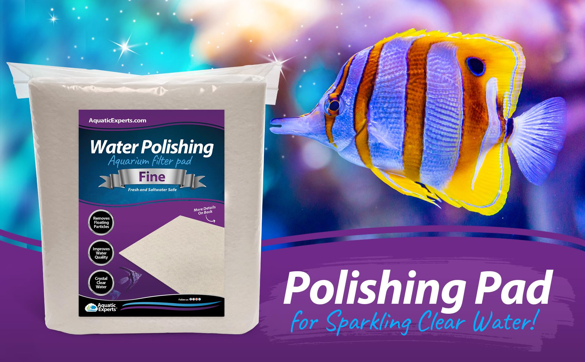 Polishing Pad DIY Aquatic Experts