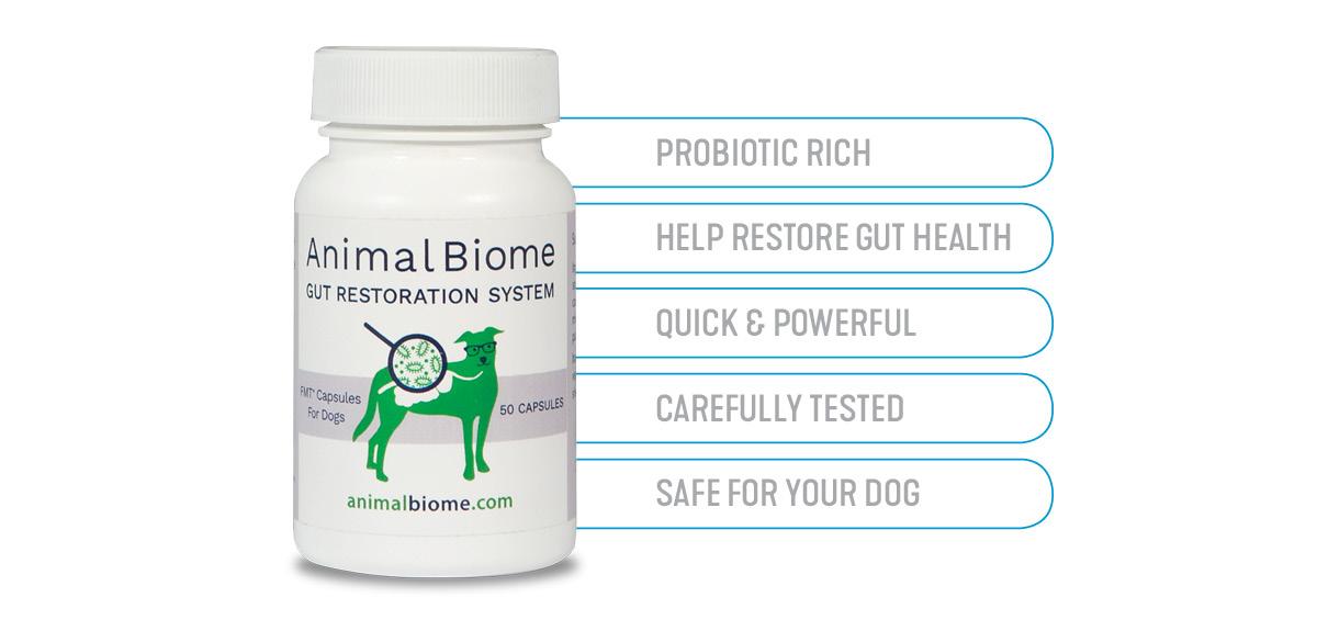 Animal Biome Gut Health Restoration System Dogs Naturally Market