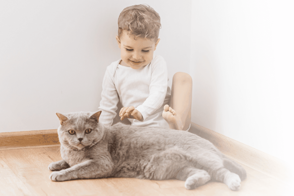 how to keep baby out of cat food