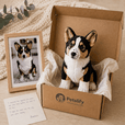 custom stuffed animal plush Corgi in a box