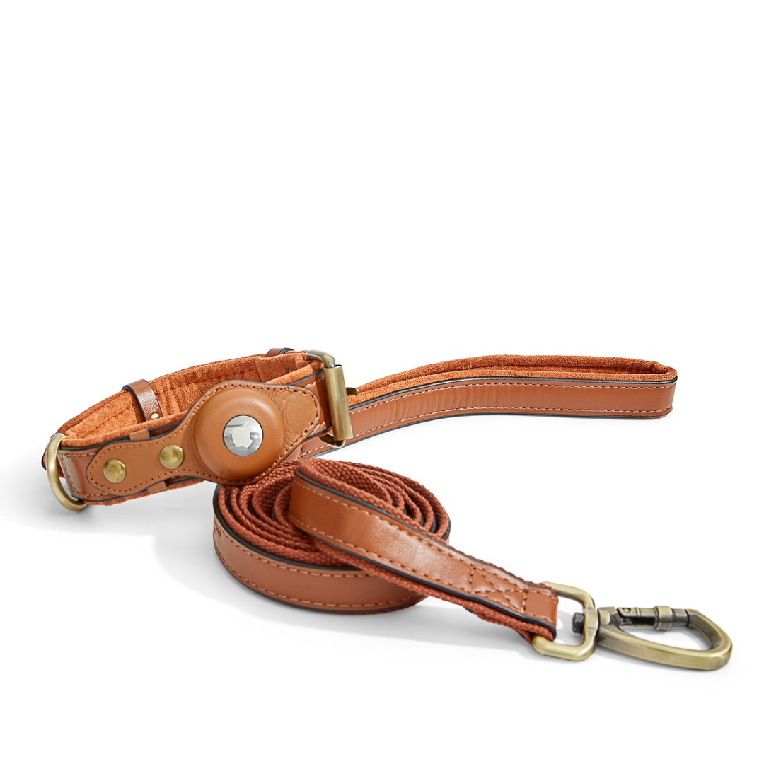 The Orchard Collar and Leash Set in Brown