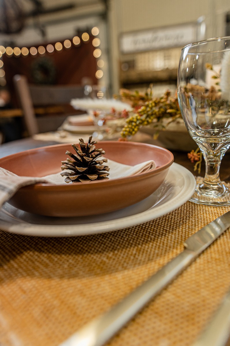 pumpkin color placemats cream-toned plates with terracota soup bowl and pinecone decoration
