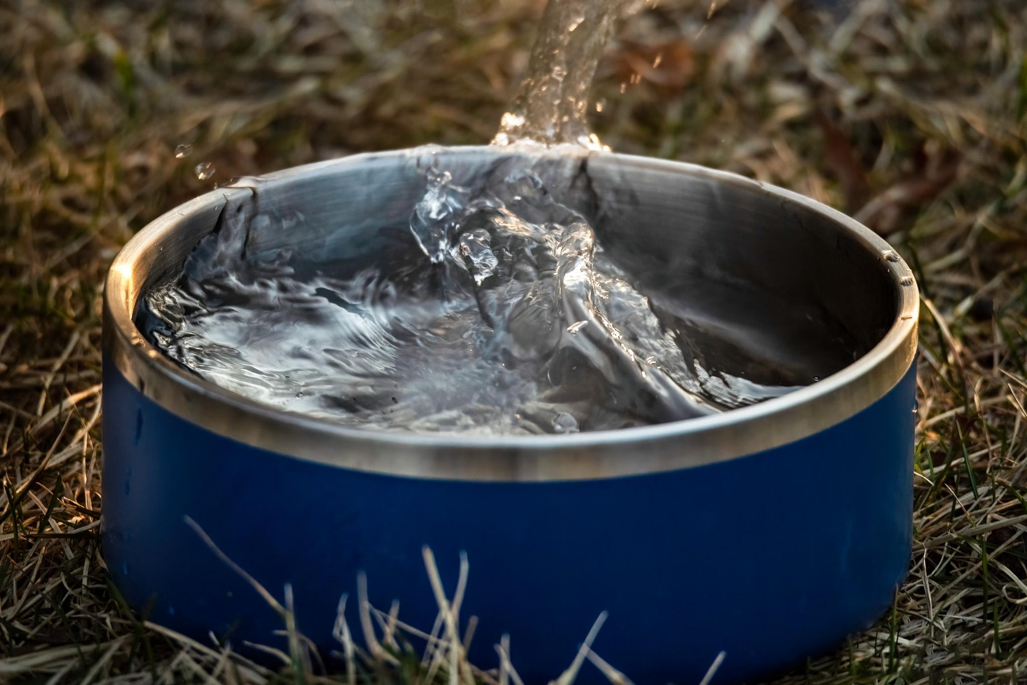 4Knines Stainless Steel Dog Bowl, Stainless Steel