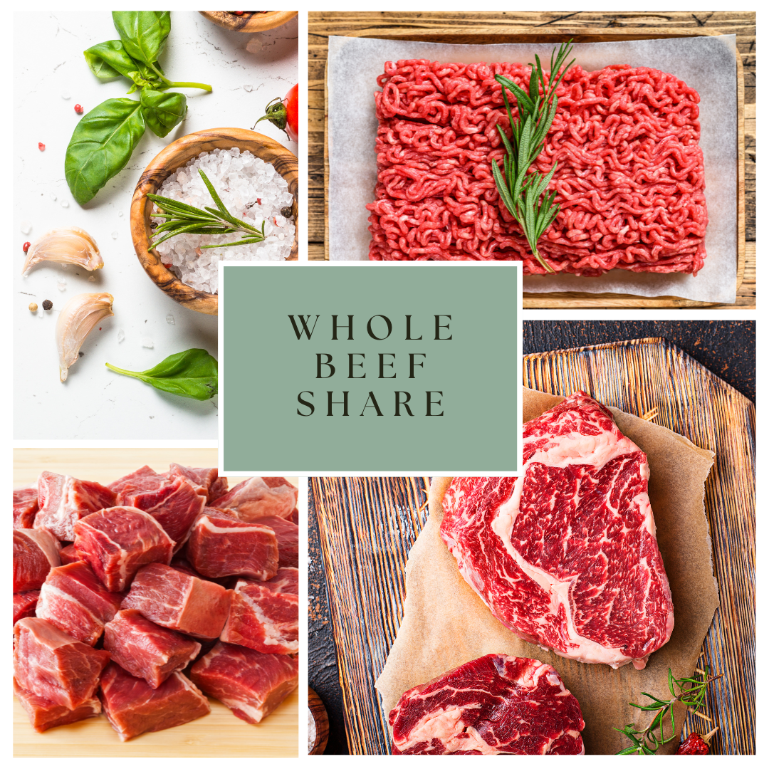 Whole Beef DEPOSIT ONLY *JUNE FULFILLMENT*