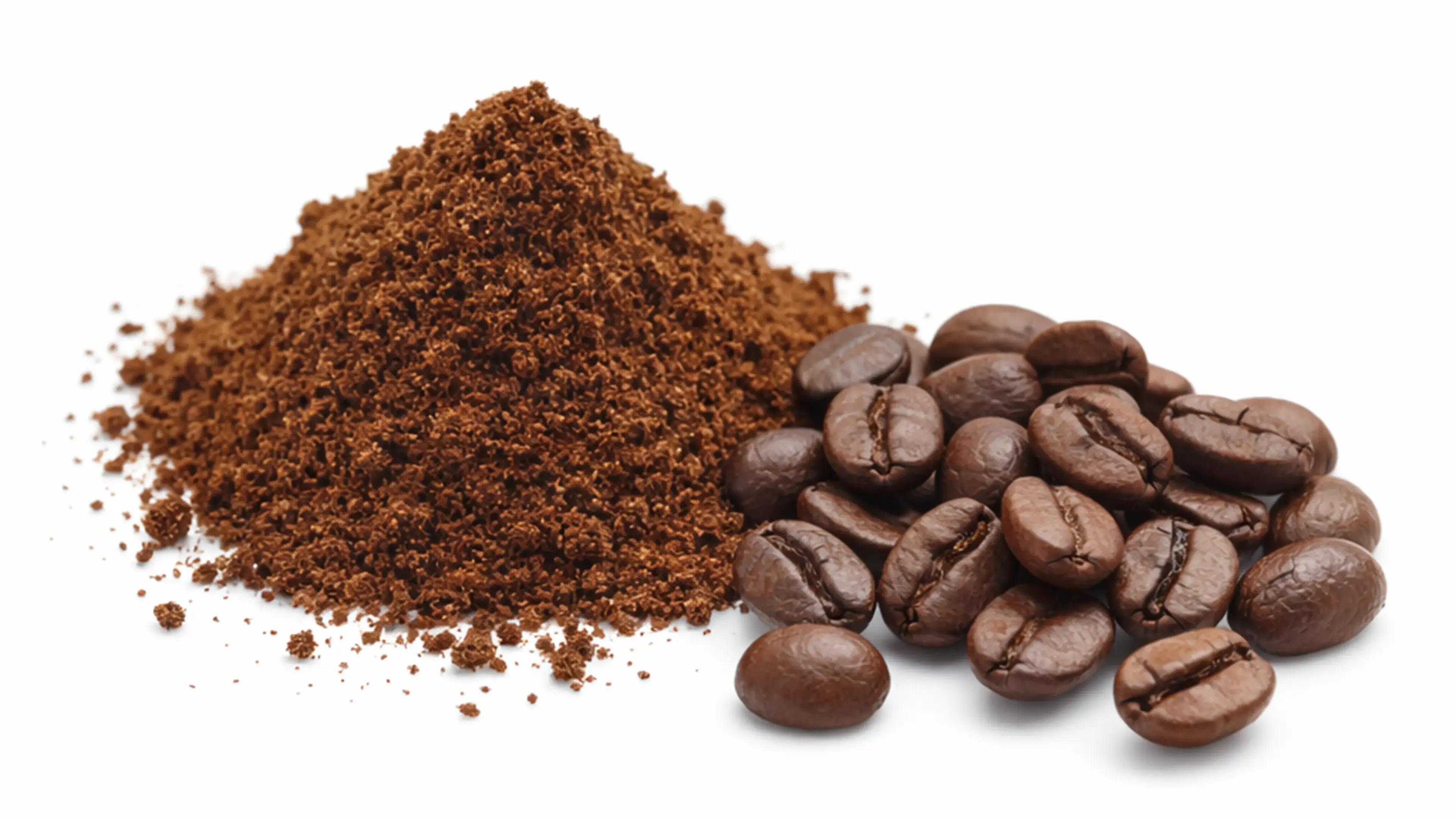 Coffee Seedcake Extract