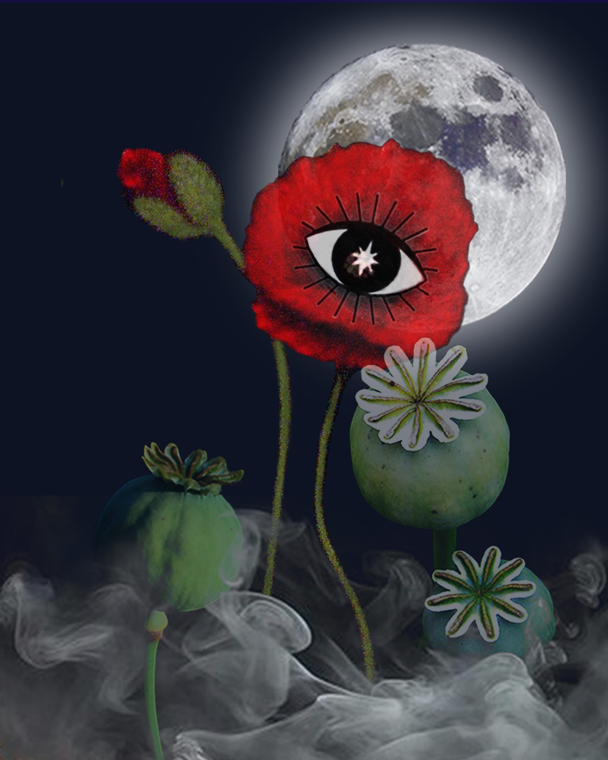 Poppy Soma parfum art