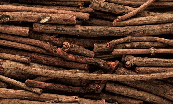 Indian madder