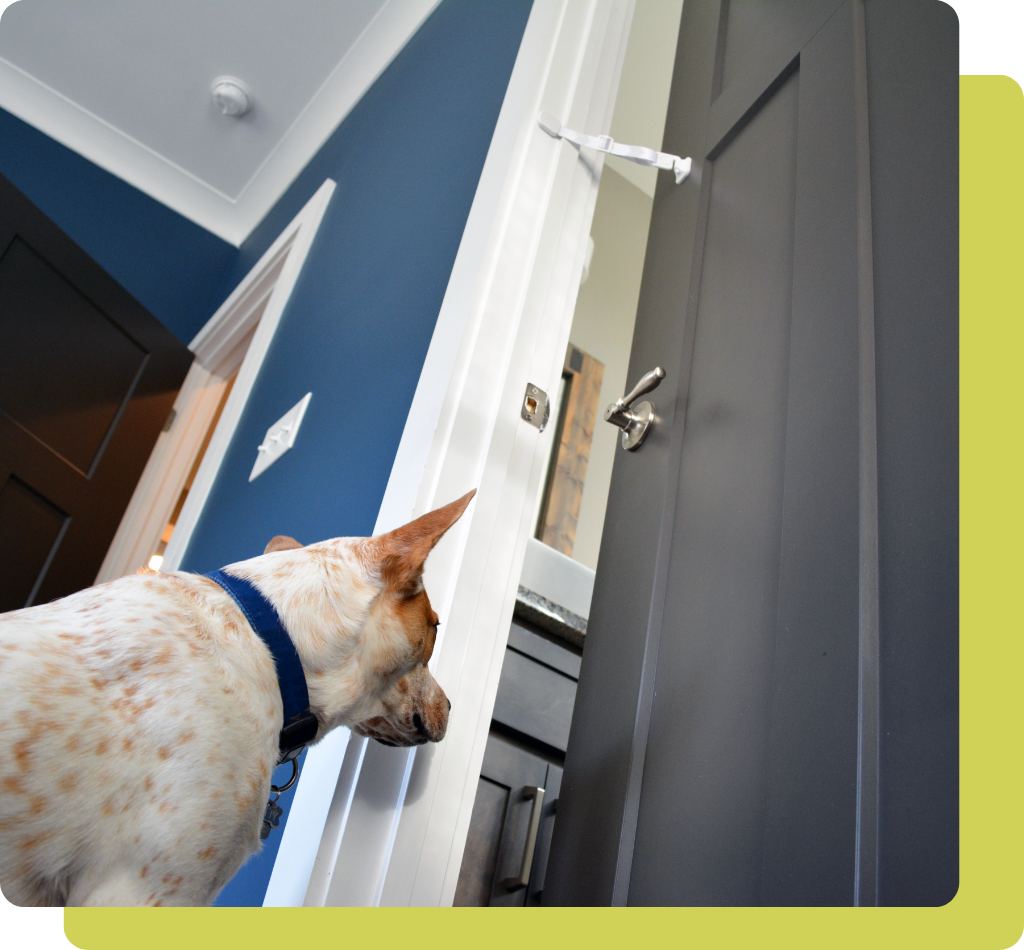 A dog looks toward a partially open door held in place by The Door Buddy door strap. The adjustable strap keeps the door slightly open to allow cats through while helping keep dogs out of litter box and feeding areas.