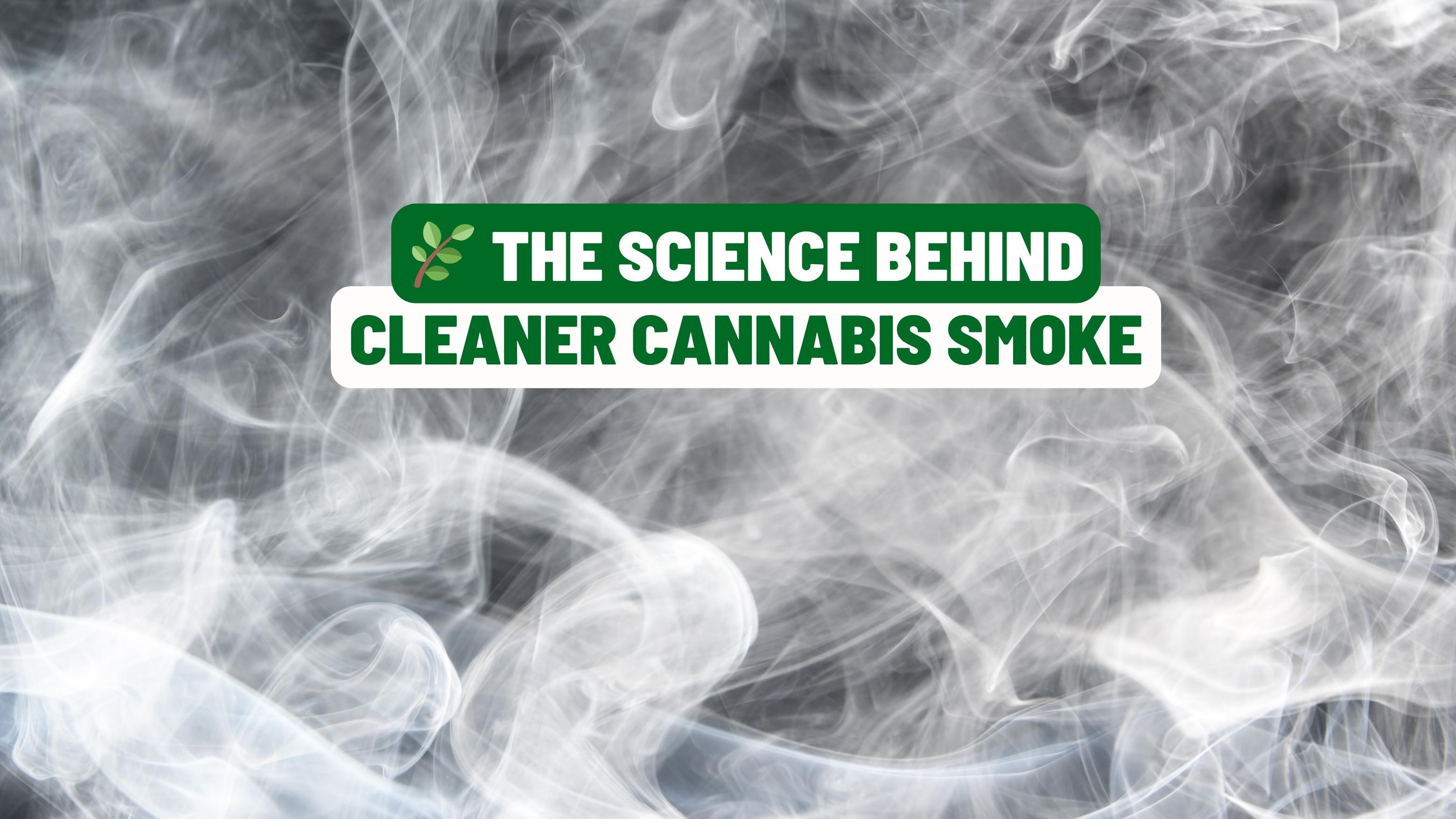 🌿 The Science Behind Cleaner Cannabis Smoke