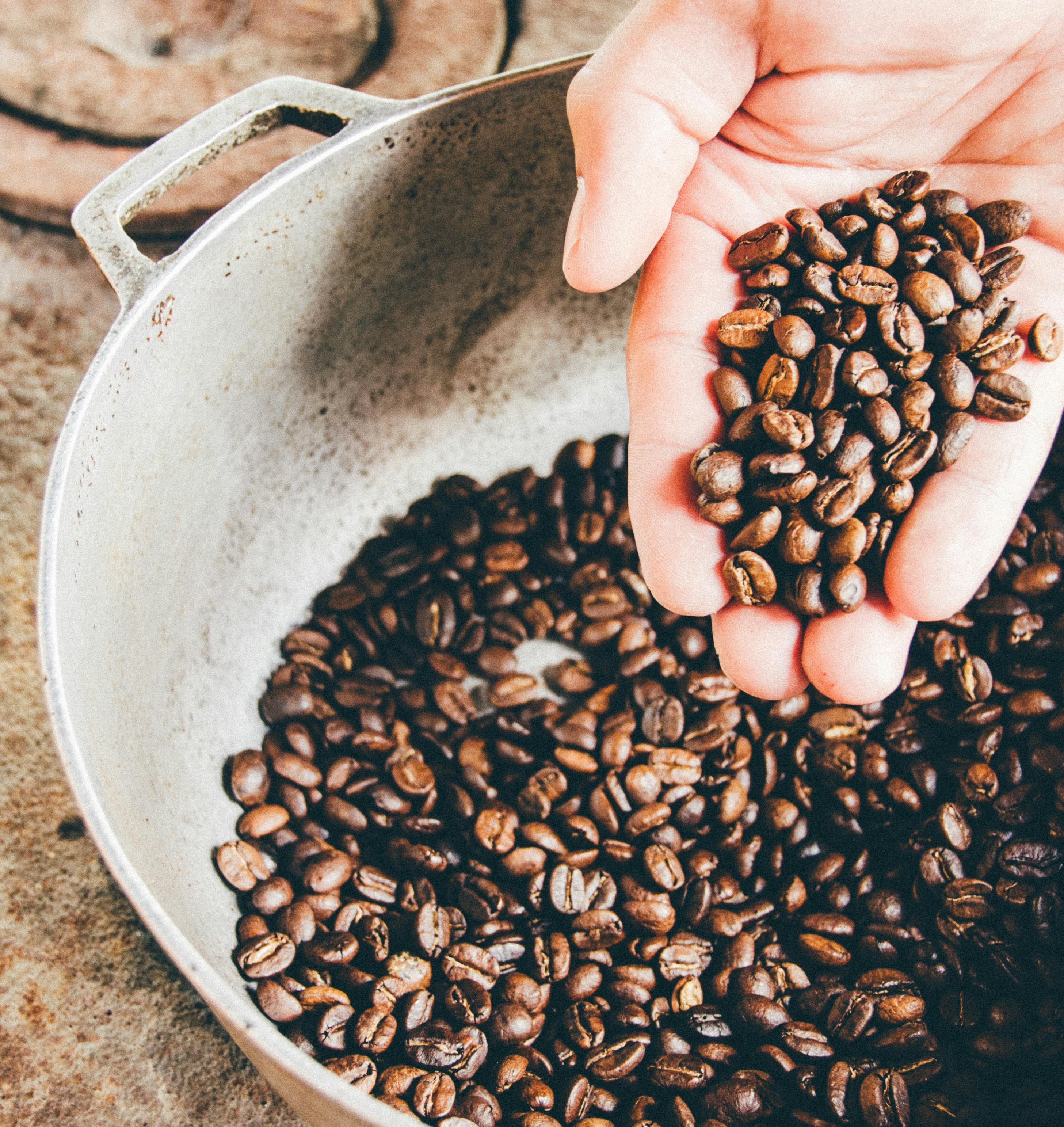 COFFEE FRUITS