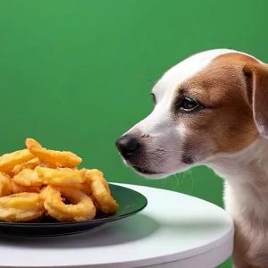 Can Dogs Eat Calamari?