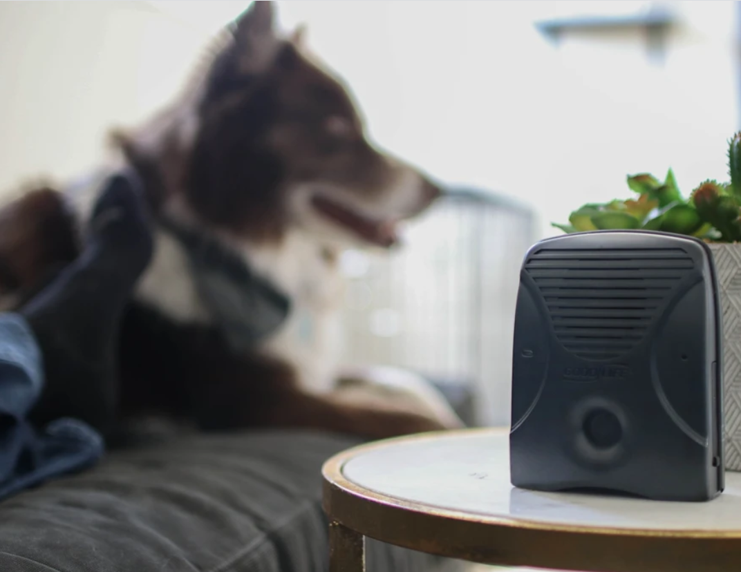 Dog Silencer® World's First Indoor and Outdoor Bark Control Device