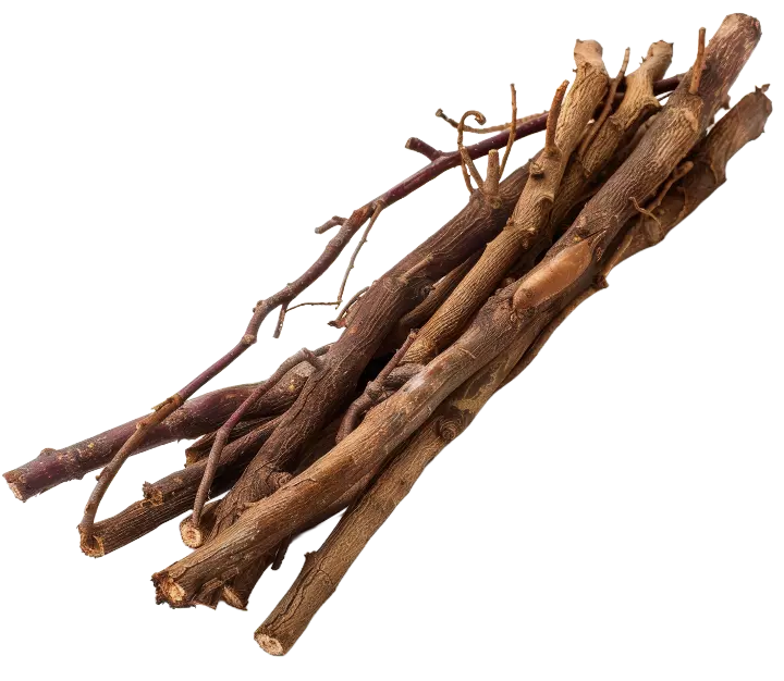 Patchouli Leaf