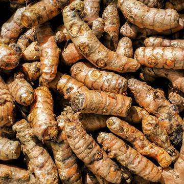ChatGPT said: Heap of raw turmeric roots with a textured, golden-brown surface.