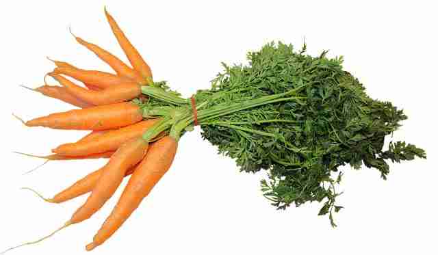 Vitamin A Carrots Joint Clinic