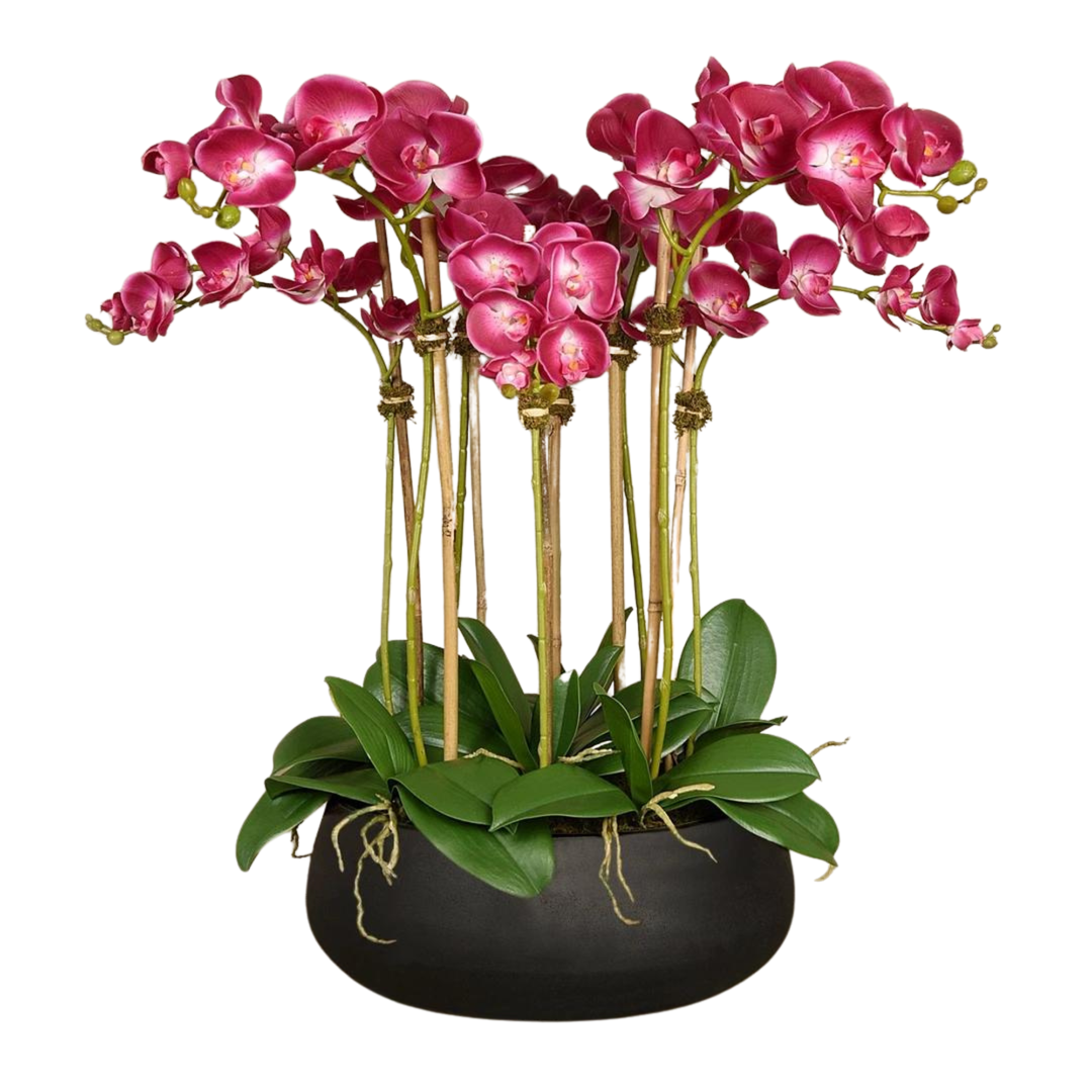 Vickerman 604090 - 18 Pink/Orange Orchid Arrangement (FC190266) Home  Office Flowers in Pots Vases and Bowls - Yahoo Shopping