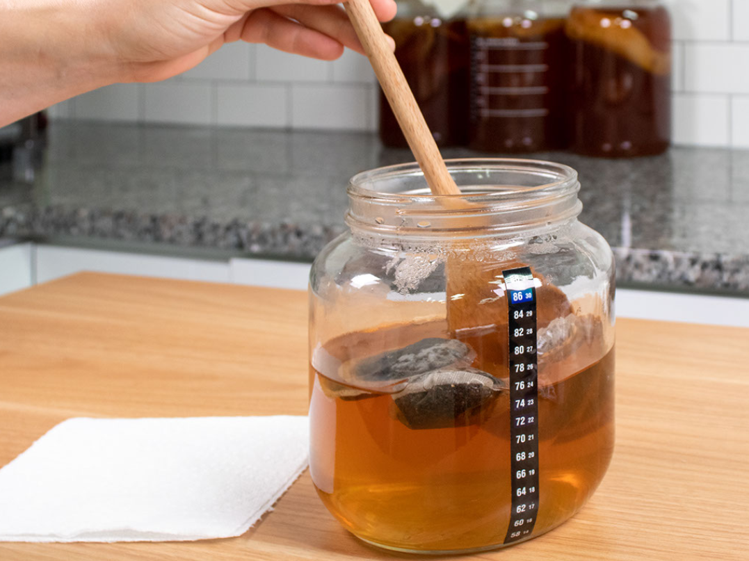 Kombucha Scoby From Cultures For Health