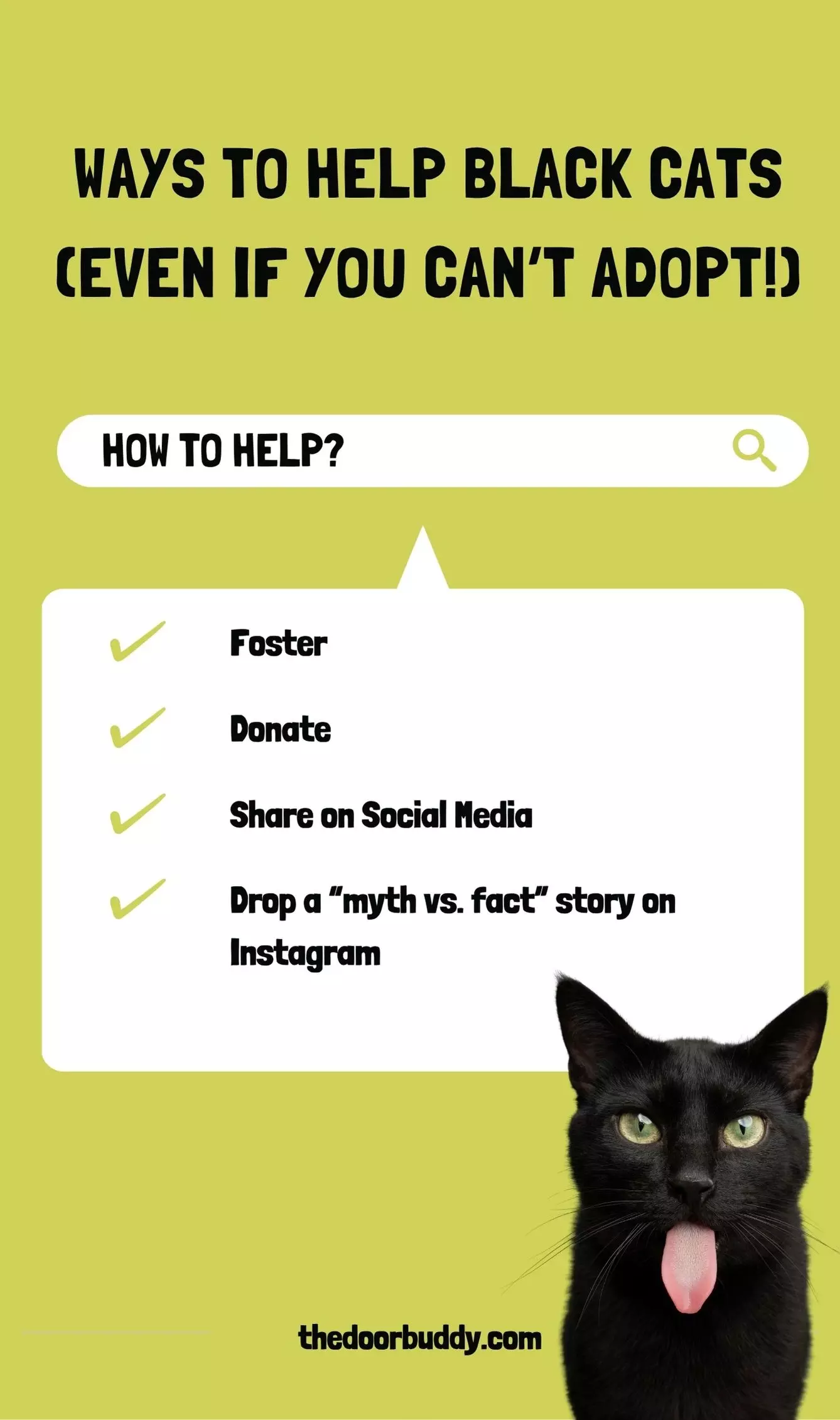 ways to help black cats