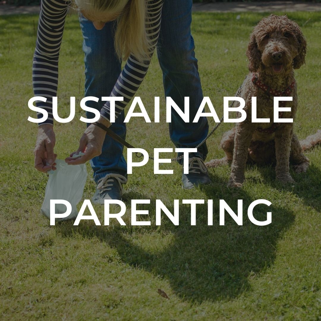 Sustainable Pet Parenting